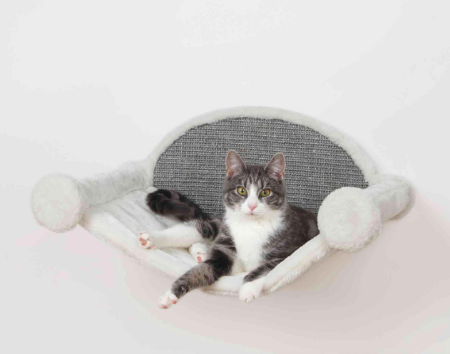 Captura de pantalla 2020-08-14 a las 13.41.41