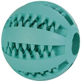 pelota dental