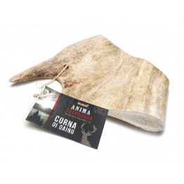 cuerno-de-venado-s-10cm-aprox