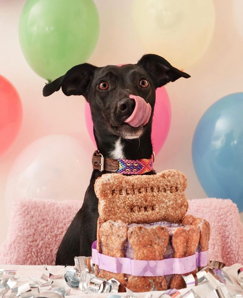 PHOTO-2021-04-01-09-48-28