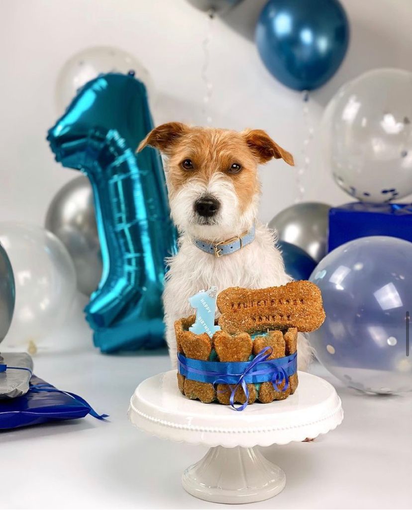 PHOTO-2021-04-01-09-48-29