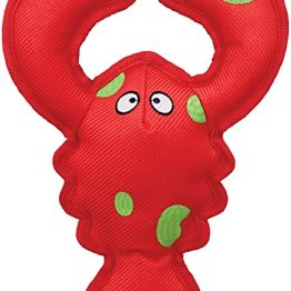 8122cbj6mnL._AC_SX425_