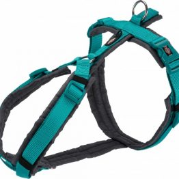 lm_822afda332245e2af431fb7b672a68b659d1565698025